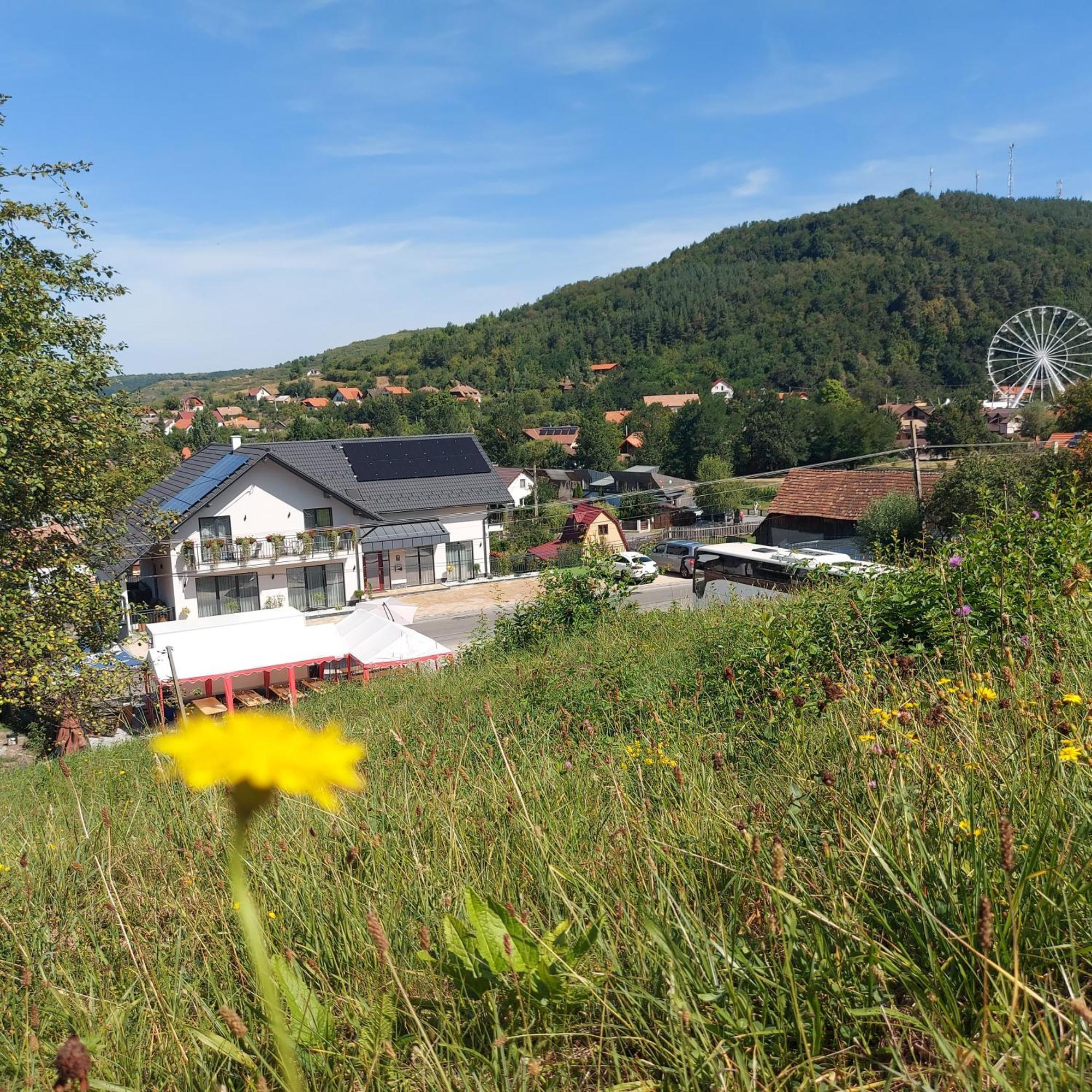 Pensiunea Royal Panzio Praid Buitenkant foto